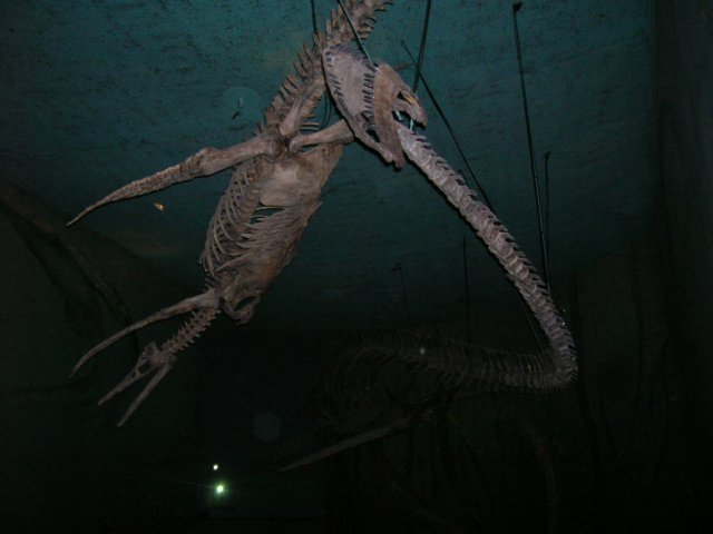 dscn2737.jpg