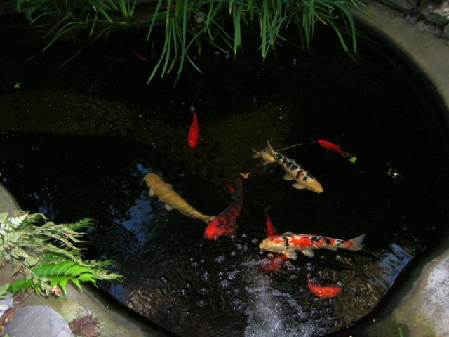 dscn2749.jpg