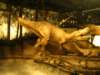 dscn2759_small.jpg