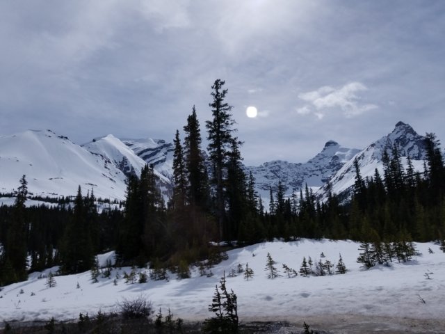 _162943.jpg