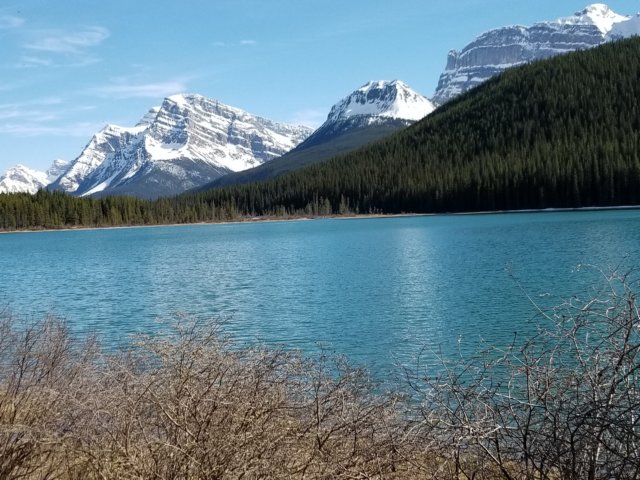 _175905.jpg