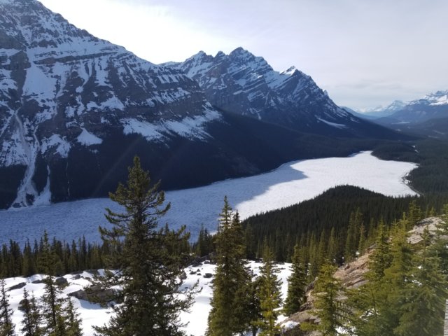 _183307.jpg
