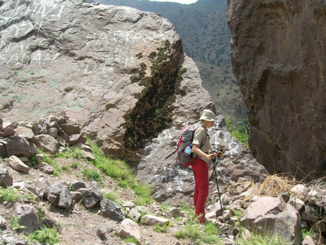 dscn4768.jpg