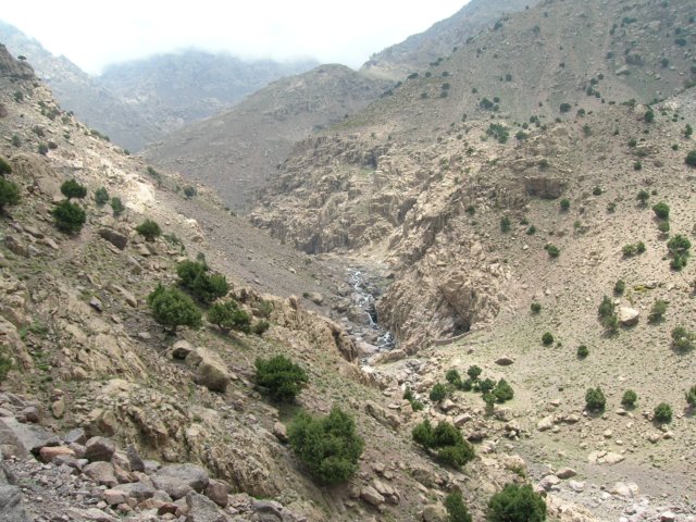 dscn4787.jpg