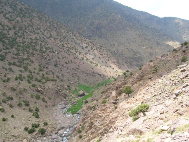 dscn4793.jpg
