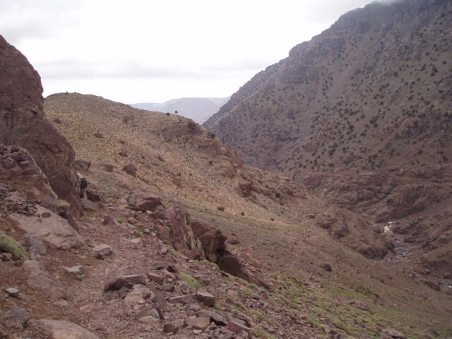 p5260062.jpg