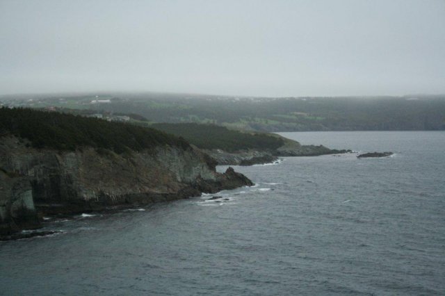 nfld2011_20110528_210.jpg