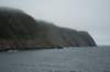 nfld2011_20110528_219_small.jpg