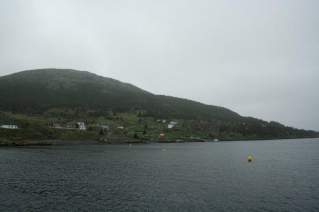 nfld2011_20110528_227.jpg