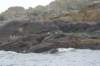 nfld2011_20110528_251_small.jpg