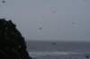 nfld2011_20110528_290_small.jpg