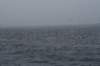 nfld2011_20110528_294_small.jpg