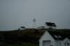 nfld2011_20110528_310_small.jpg