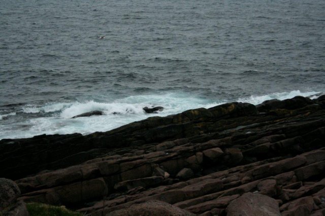 nfld2011_20110528_312.jpg