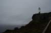 nfld2011_20110528_347_small.jpg