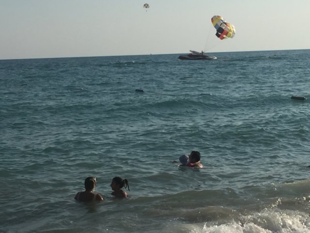 img_0803.jpg