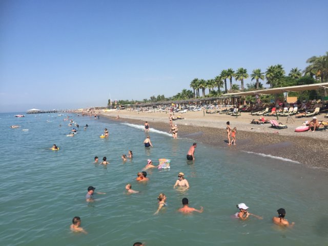img_0824.jpg