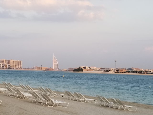 _171835.jpg
