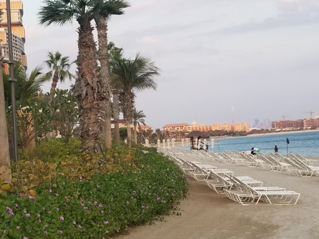 _171843.jpg