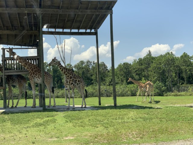 img_8338.jpg