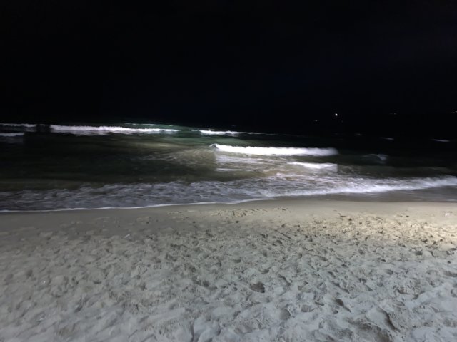 img_1660.jpg