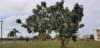 _141550_small.jpg