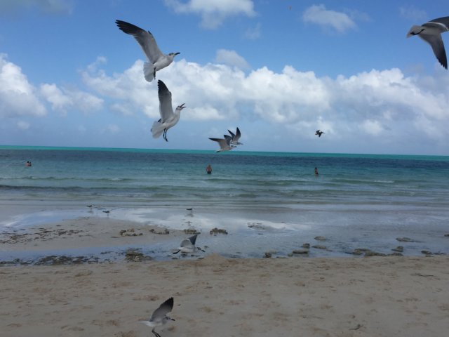 img_9150.jpg