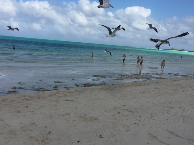 img_9153.jpg