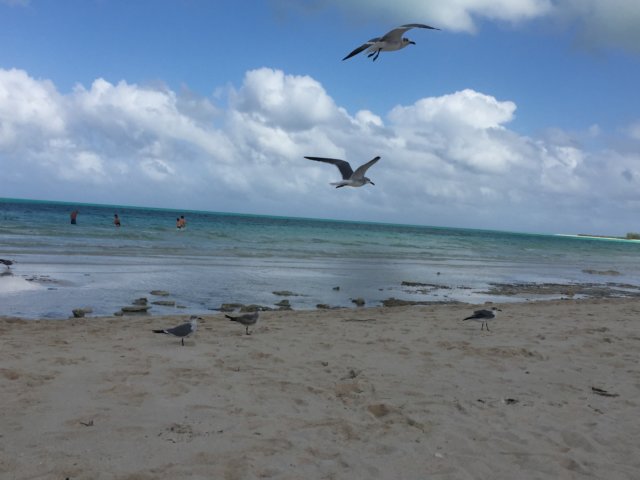img_9161.jpg