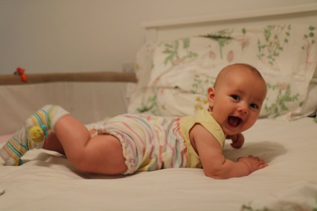 img20180820wa0001.jpg