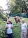 img_20200809_155332_small.jpg