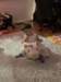 img_3865_small.jpg