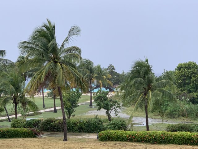 img_5538.jpg
