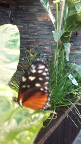 _170948.jpg