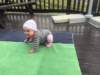 img_7912_small.jpg