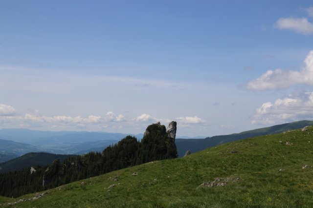 img_1530.jpg