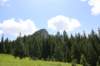 img_1547_small.jpg