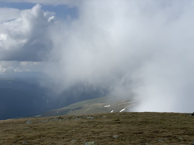 img_0531.jpg