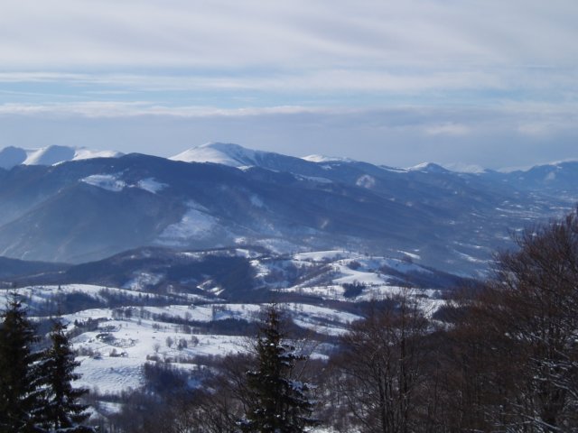 p1040031.jpg
