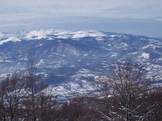 p1040032.jpg