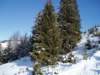 p1040039_small.jpg
