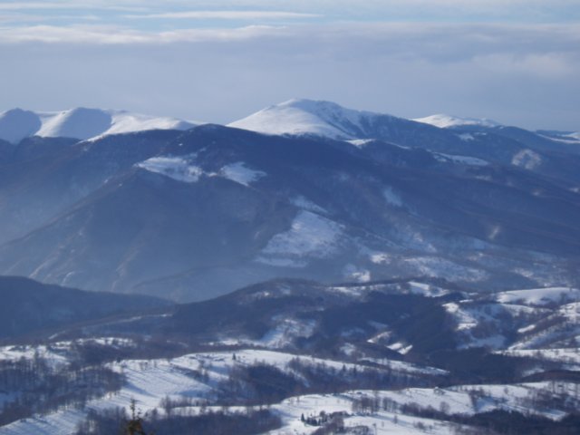 p1040045.jpg