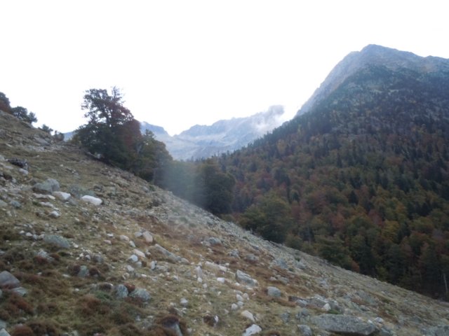 dscn7510.jpg