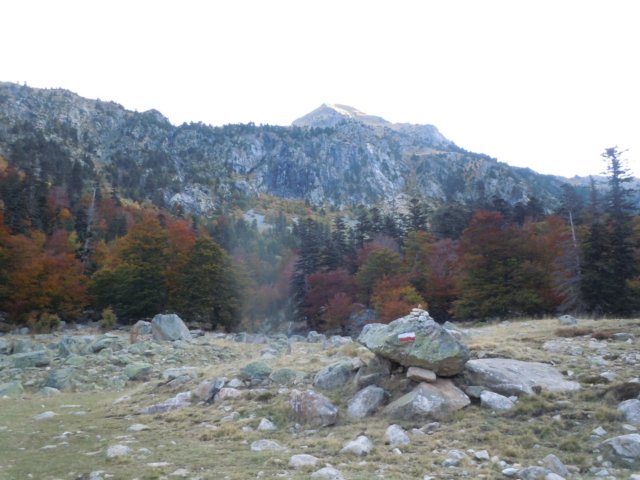 dscn7515.jpg