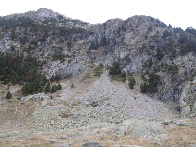 dscn7519.jpg
