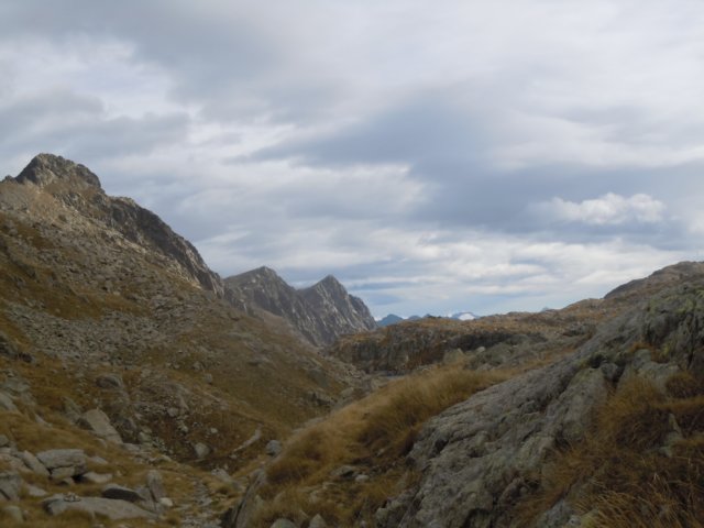 dscn7536.jpg