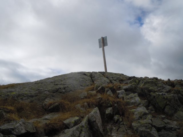 dscn7537.jpg