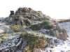 dscn8009_small.jpg