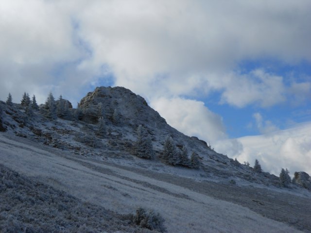 dscn8021.jpg