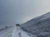 dscn8023_small.jpg